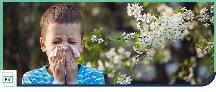 Allergy Clinic Near Me in Coral Gables FL and Palmetto Bay FL